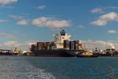 Ocean Freight Solutions